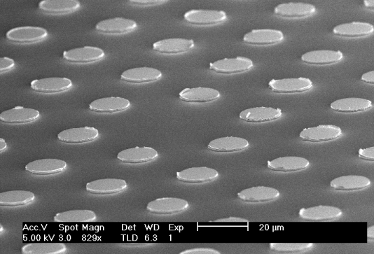 SEM image of nano-structured QCLs