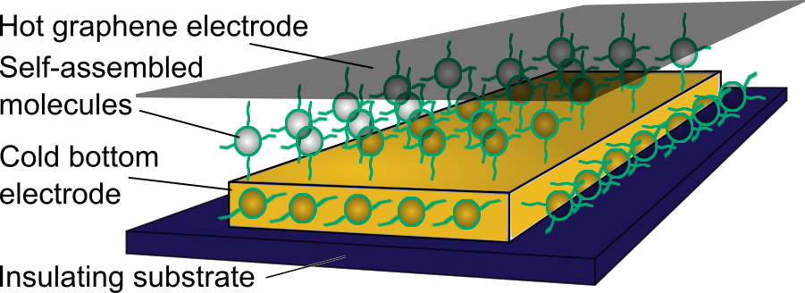 Diagram of molecules sandwiched between gold and graphene electrodes