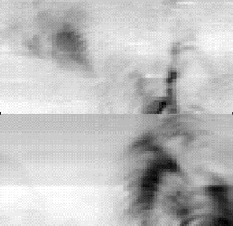 Backscattering image