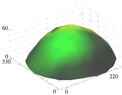 Tip equipotential surface