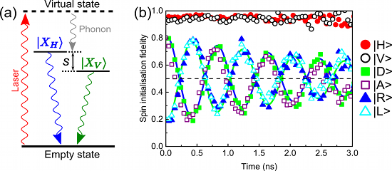 Excitation scheme and spin-state fidelity