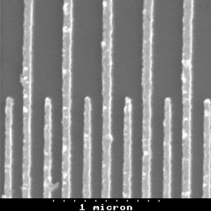 SEM image of a SAW transducer