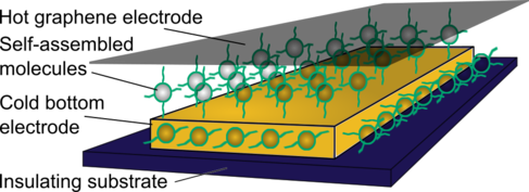 Diagram of molecules sandwiched between gold and graphene electrodes