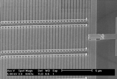SEM image