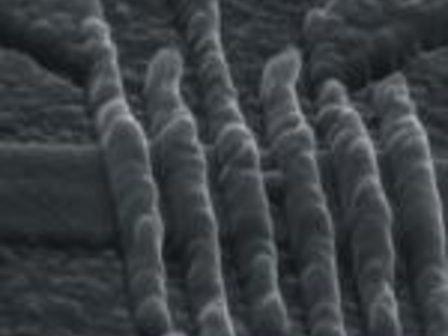 Gates across a narrow wire to form quantum dots
