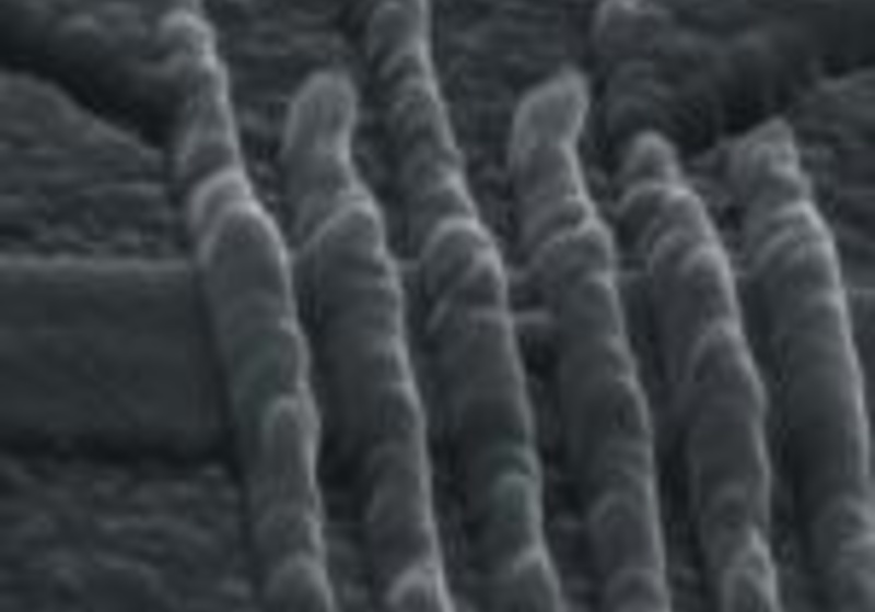 Gates across a narrow wire to form quantum dots